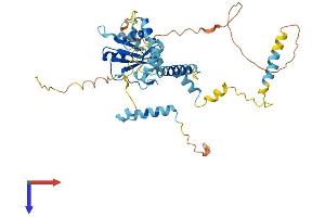 AlphaFold protein structure predicition of Mouse Recombinant Rbm41 Protein, UniprotID Q8JZV4