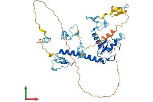 AlphaFold protein structure predicition of Human Recombinant MKRN2 Protein, UniprotID Q9H000