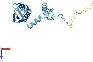 AlphaFold protein structure predicition of Mouse Recombinant Cep19 Protein, UniprotID Q9CQA8