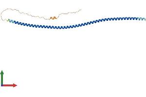 AlphaFold protein structure predicition of Human Recombinant SYCP3 Protein, UniprotID Q8IZU3