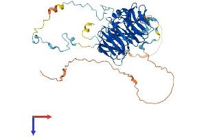 AlphaFold protein structure predicition of Human Recombinant RBBP5 Protein, UniprotID Q15291