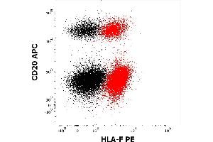 Flow cytometry multicolor intracellular staining pattern of human lymphocytes stained using anti-human CD20 (2H7) PE antibody (10 μL reagent / 100 μL of peripheral whole blood) and anti-HLA-F (3D11) PE antibody (concentration in sample 5 μg/mL, red) or mouse IgG1 isotype control (MOPC-21) PE antibody (concentration in sample 5 μg/mL, same as anti-HLA-F PE concentration, black). (HLA-F anticorps  (PE))