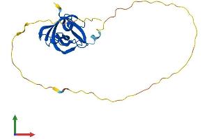 AlphaFold protein structure predicition of Mouse Recombinant Nabp2 Protein, UniprotID Q8R2Y9