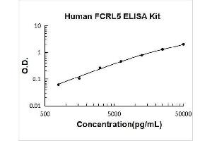 Fc Receptor-Like 5 (FCRL5) ELISA Kit