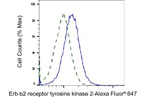 Validation of Erb-b2 receptor tyrosine kinase 2 knockdown using flow cytometry. (ErbB2/Her2 anticorps)