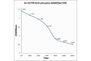 Antigen: 0. (GAB2 anticorps  (pSer159))