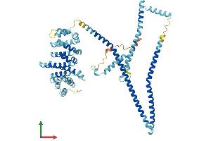AlphaFold protein structure predicition of Mouse Recombinant Iqcb1 Protein, UniprotID Q8BP00