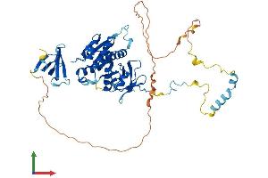 AlphaFold protein structure predicition of Mouse Recombinant Edc3 Protein, UniprotID Q8K2D3