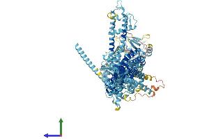 AlphaFold protein structure predicition of Mouse Recombinant Trpm8 Protein, UniprotID Q8R4D5