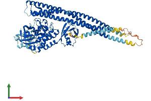AlphaFold protein structure predicition of Human Recombinant IKBKE Protein, UniprotID Q14164