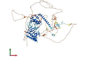 AlphaFold protein structure predicition of Mouse Recombinant Rnf10 Protein, UniprotID Q3UIW5