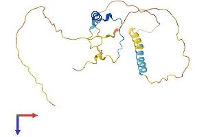 AlphaFold protein structure predicition of Mouse Recombinant Cited1 Protein, UniprotID P97769