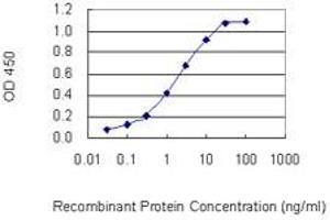Detection limit for recombinant GST tagged PRSS12 is 0. (Neurotrypsin anticorps  (AA 541-640))