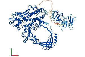 AlphaFold protein structure predicition of Human Recombinant TOP3B Protein, UniprotID O95985