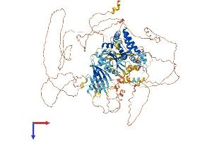AlphaFold protein structure predicition of Mouse Recombinant Fnip1 Protein, UniprotID Q68FD7