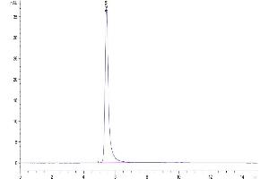 The purity of Biotinylated Human ITGAV&ITGB5 is greater than 95 % as determined by SEC-HPLC.