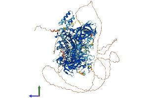 AlphaFold protein structure predicition of Human Recombinant DNMT1 Protein, UniprotID P26358