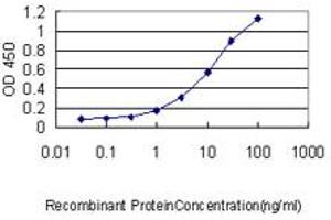 Detection limit for recombinant GST tagged C1orf33 is approximately 0. (C1orf33 anticorps  (AA 1-239))