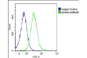 Overlay histogram showing Ramos cells stained with A(green line).
