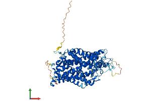 AlphaFold protein structure predicition of Human Recombinant SLC6A13 Protein, UniprotID Q9NSD5