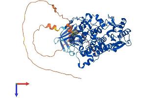 AlphaFold protein structure predicition of Human Recombinant MTMR1 Protein, UniprotID Q13613