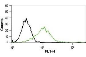 Cell surface detection of TRPV2 in intact living RBL cells: (black line) Unstained cells.