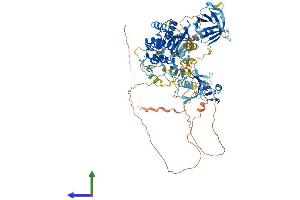 AlphaFold protein structure predicition of Human Recombinant PRKD2 Protein, UniprotID Q9BZL6