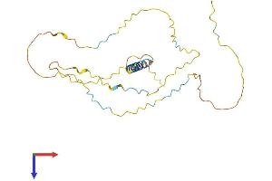 AlphaFold protein structure predicition of Mouse Recombinant Lat Protein, UniprotID O54957