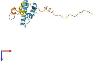 AlphaFold protein structure predicition of Human Recombinant DNAJB3 Protein, UniprotID Q8WWF6
