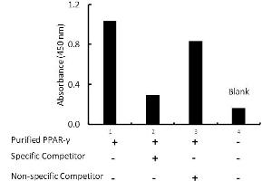 Transcription factor assay of PPAR-gamma from 0. (PPARG Kit ELISA)