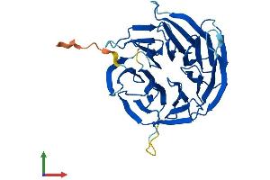 AlphaFold protein structure predicition of Human Recombinant MLST8 Protein, UniprotID Q9BVC4