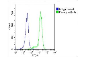 Overlay histogram showing K562 cells stained with C(green line). (IFNAR1 anticorps  (AA 162-188))