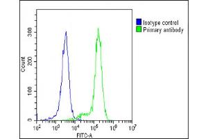 Overlay histogram showing K562 cells stained with C(green line). (IFNAR1 anticorps  (AA 162-188))
