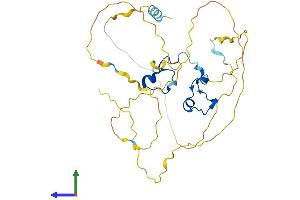 AlphaFold protein structure predicition of Human Recombinant ZFP36 Protein, UniprotID P26651