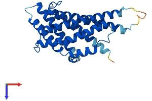 AlphaFold protein structure predicition of Mouse Recombinant Pex11g Protein, UniprotID Q6P6M5