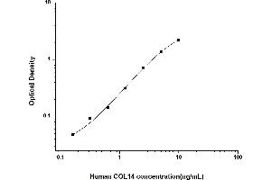 Typical standard curve (COL14A1 Kit ELISA)