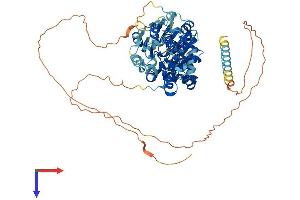 AlphaFold protein structure predicition of Mouse Recombinant Ddx18 Protein, UniprotID Q8K363