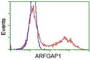 HEK293T cells transfected with either RC206987 overexpress plasmid (Red) or empty vector control plasmid (Blue) were immunostained by anti-ARFGAP1 antibody (ABIN2454382), and then analyzed by flow cytometry. (ARFGAP1 anticorps)