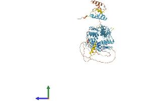 AlphaFold protein structure predicition of Human Recombinant ZNF347 Protein, UniprotID Q96SE7