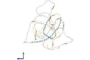 AlphaFold protein structure predicition of Mouse Recombinant Kprp Protein, UniprotID B2RUR4