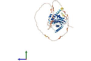 AlphaFold protein structure predicition of Human Recombinant RNF25 Protein, UniprotID Q96BH1