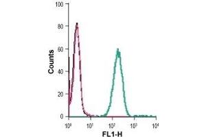 Indirect flow cytometry of live intact human THP-1 monocytic leukemia cells: (black line) Cells.