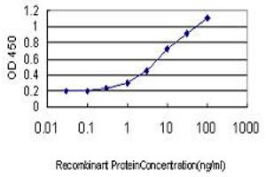 Detection limit for recombinant GST tagged RBM9 is approximately 0.