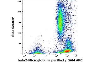 anti-beta-2-Microglobulin (B2M) antibody