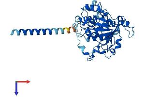 AlphaFold protein structure predicition of Human Recombinant ST3GAL3 Protein, UniprotID Q11203