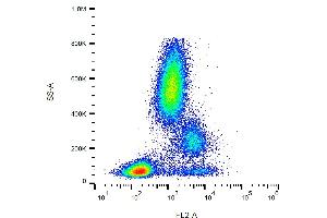 Flow cytometry analysis (surface staining) of CD39 in human peripheral blood with anti-CD39 (TU66) PE. (CD39 anticorps  (PE))