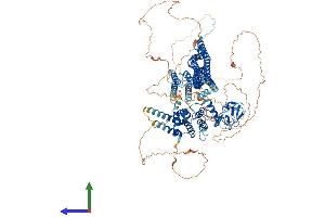 AlphaFold protein structure predicition of Mouse Recombinant Arhgap45 Protein, UniprotID Q3TBD2