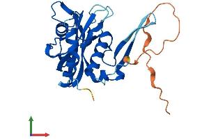 AlphaFold protein structure predicition of Human Recombinant NUDT8 Protein, UniprotID Q8WV74
