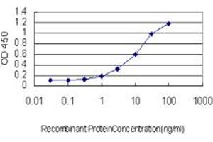 Detection limit for recombinant GST tagged RBP4 is approximately 1ng/ml as a capture antibody. (RBP4 anticorps  (AA 19-201))
