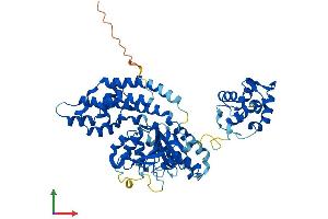AlphaFold protein structure predicition of Human Recombinant EHD1 Protein, UniprotID Q9H4M9